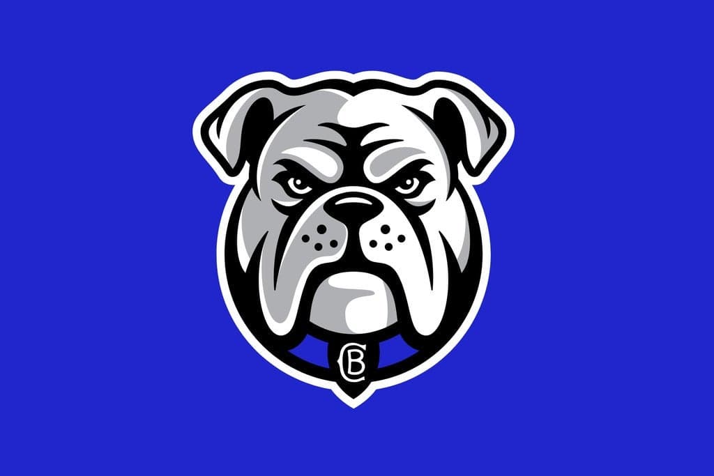 2026 NRL Telstra Premiership Bulldogs v Storm (Round 12)